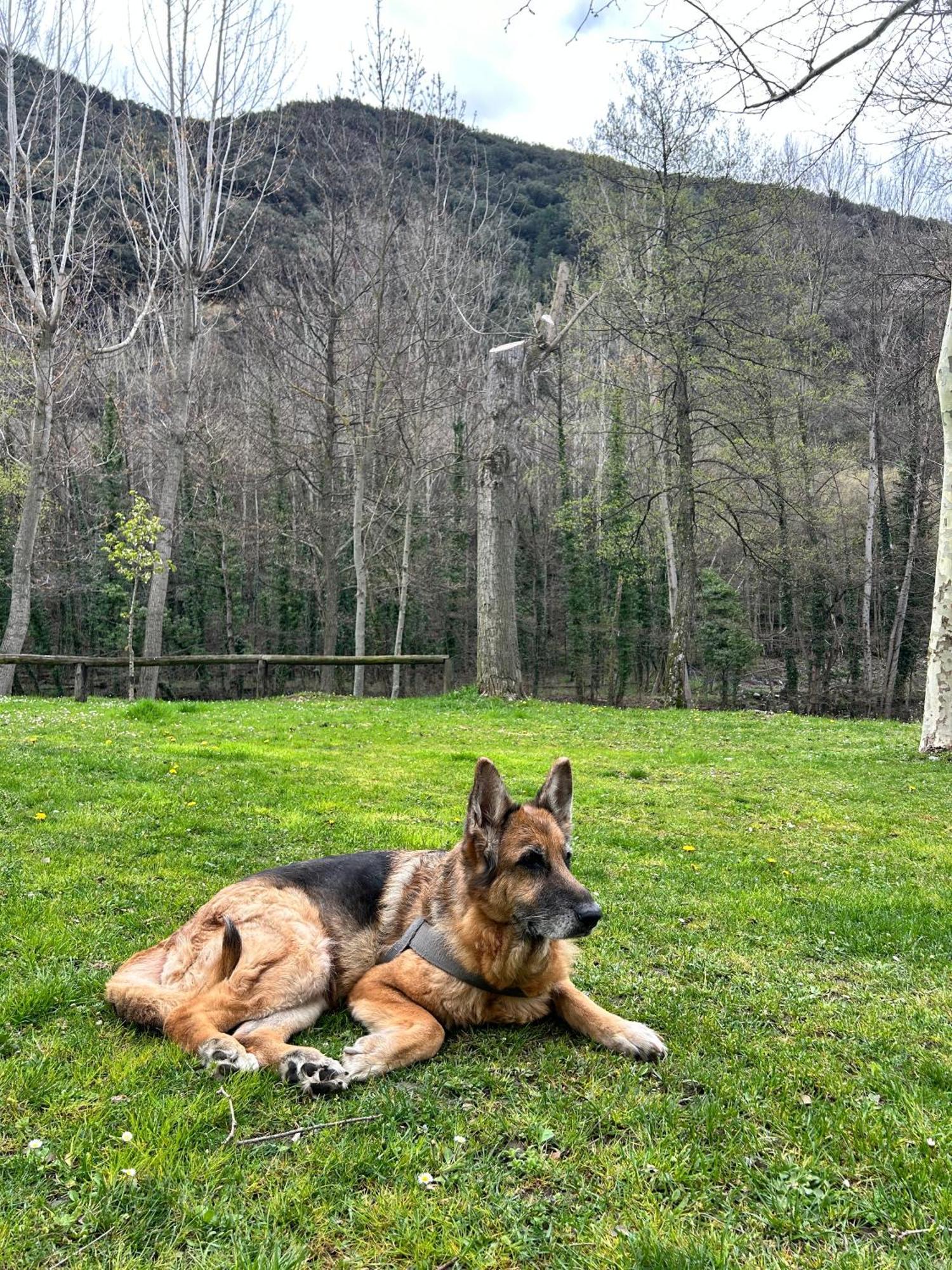 Camping Noguera Pallaresa Сорт Экстерьер фото